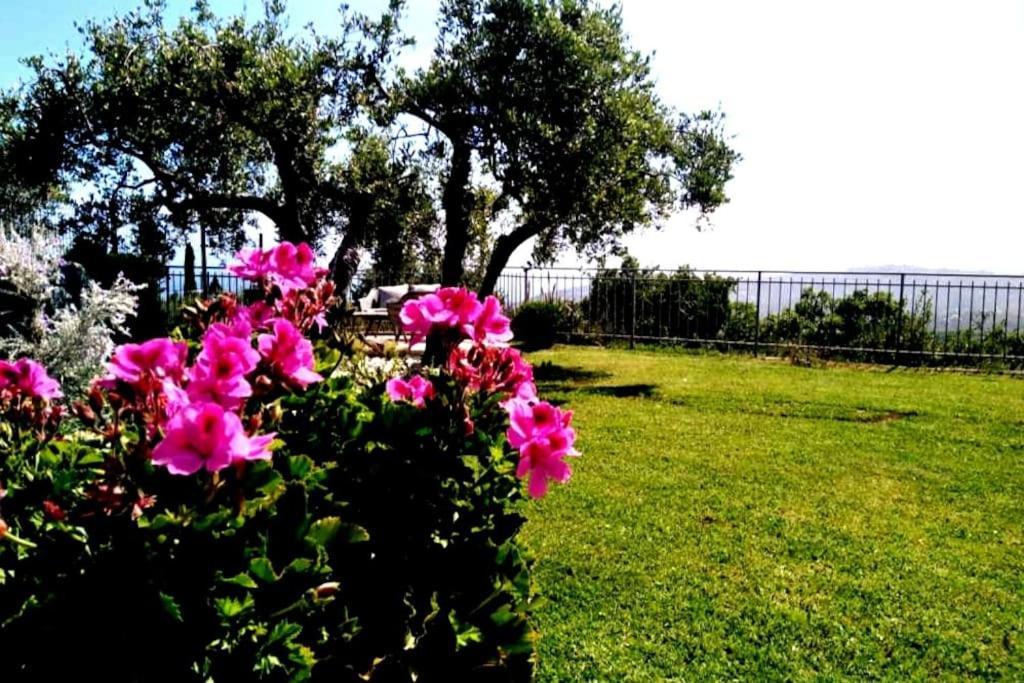 Casa Vista Mare - Superb Garden And Parking Included Villa อิมเปรีอา ภายนอก รูปภาพ