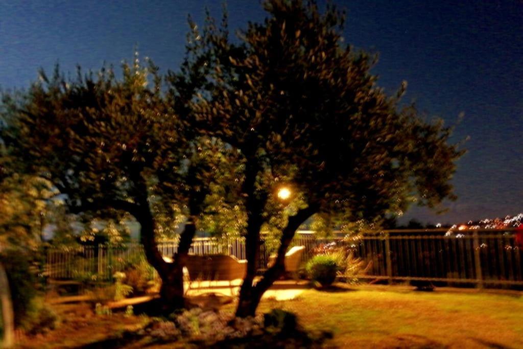 Casa Vista Mare - Superb Garden And Parking Included Villa อิมเปรีอา ภายนอก รูปภาพ