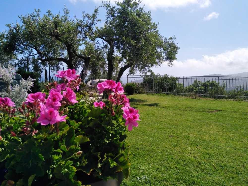 Casa Vista Mare - Superb Garden And Parking Included Villa อิมเปรีอา ภายนอก รูปภาพ